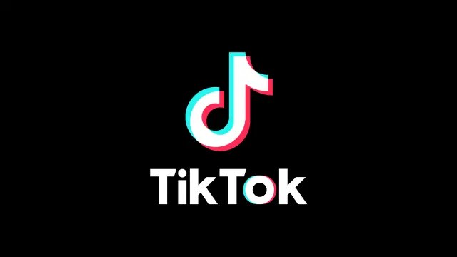 tiktock downloader