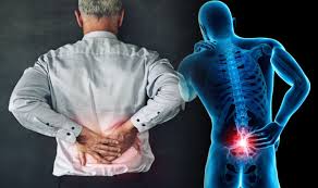 Vertebrogenic Low Back Pain: