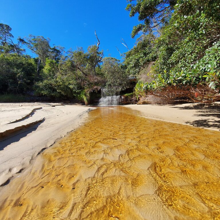 Collins Beach